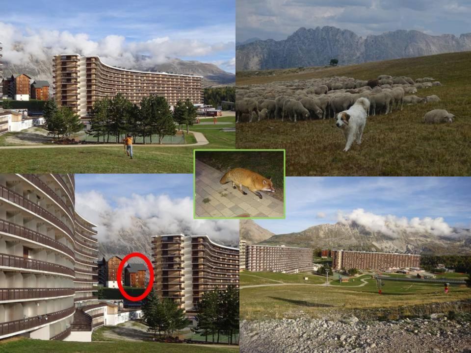 Appartement 8-10 Personnes Superdevoluy Hautes Alpes Rez De Chaussee Vue Panoramique 3 Chambres Saint-Étienne-en-Dévoluy Екстериор снимка