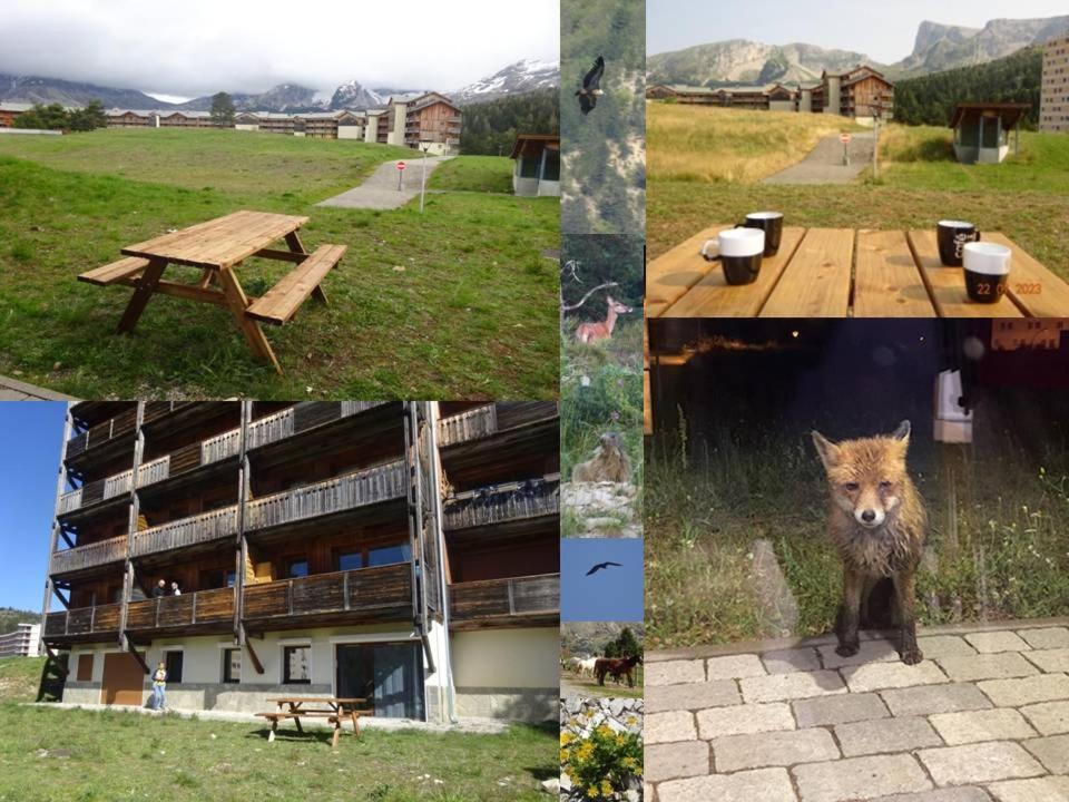 Appartement 8-10 Personnes Superdevoluy Hautes Alpes Rez De Chaussee Vue Panoramique 3 Chambres Saint-Étienne-en-Dévoluy Екстериор снимка